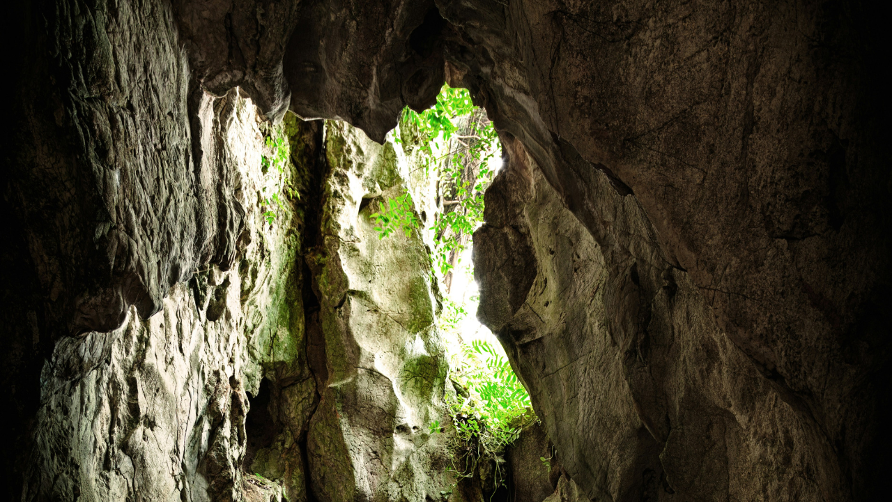 Explore The Caves of Meghalaya