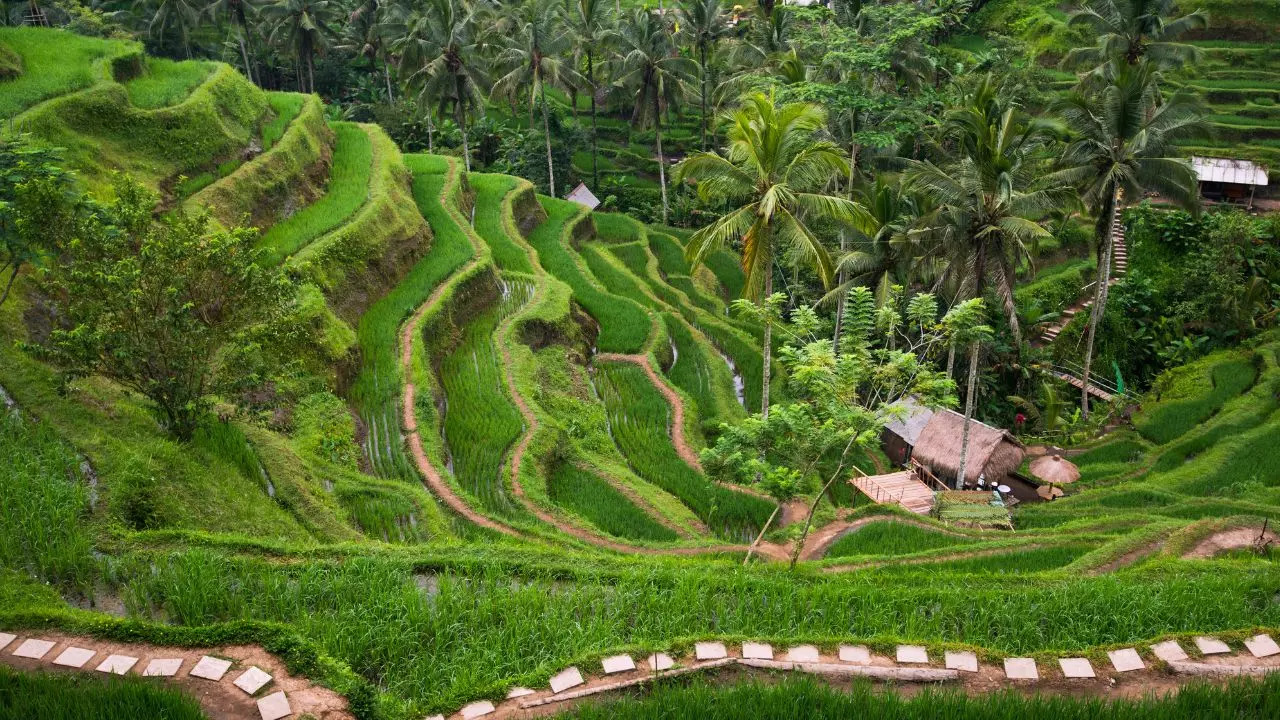 Ubud Bali Indonesia