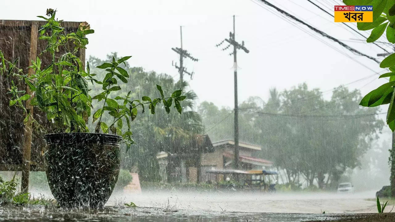 দুয়ারে দাঁড়িয়ে বর্ষা হাতে রাখুন ছাতা! একাধিক জেলায় বৃষ্টির পূর্বাভাস