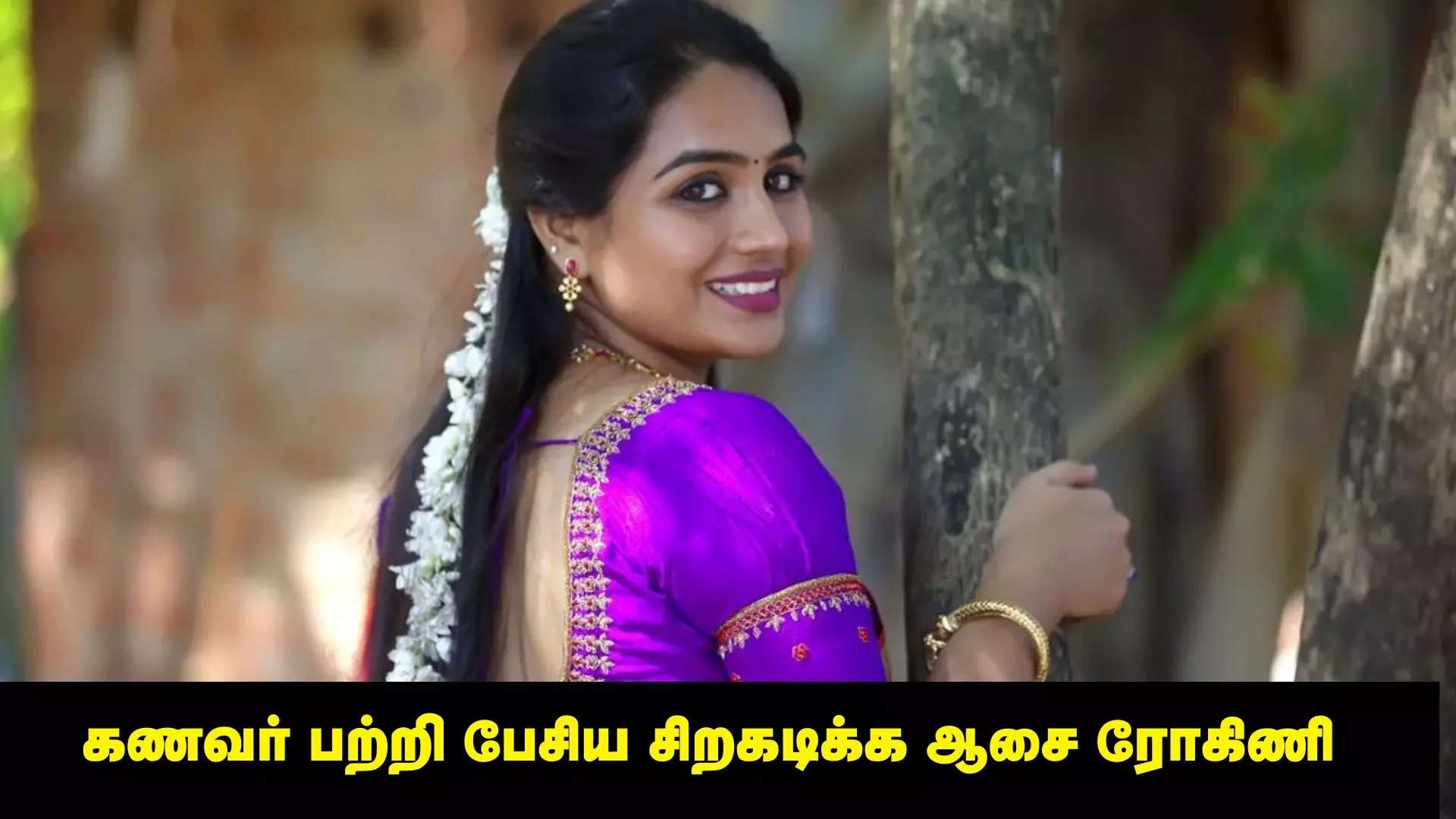 சிறகடிக்க ஆசை 