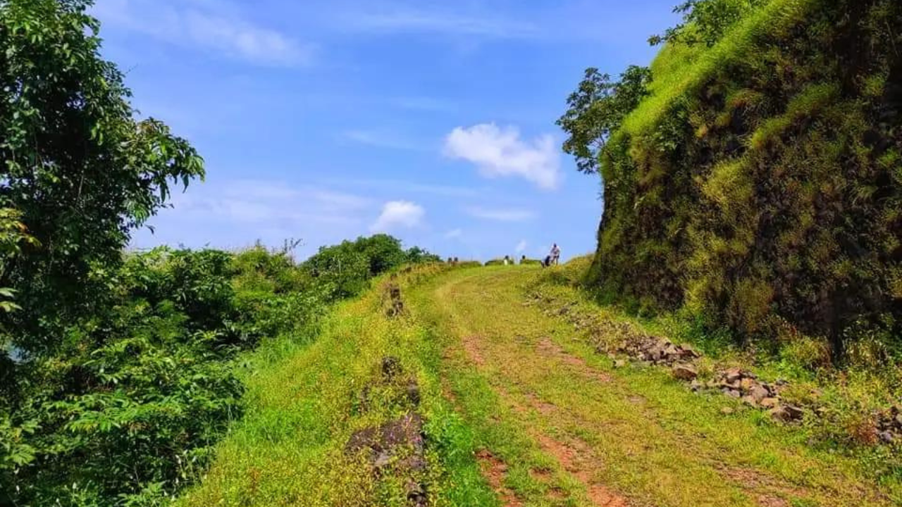 घनदाट जंगलानी समृद्ध असलेले हे गाव डोंगराळ भागात वसले असून् या जंगलांमध्ये औषधी वनस्पती मोठय़ा प्रमाणात आढळतात म्हणून इथे निसर्गप्रेमी आवर्जून भेट देतात 