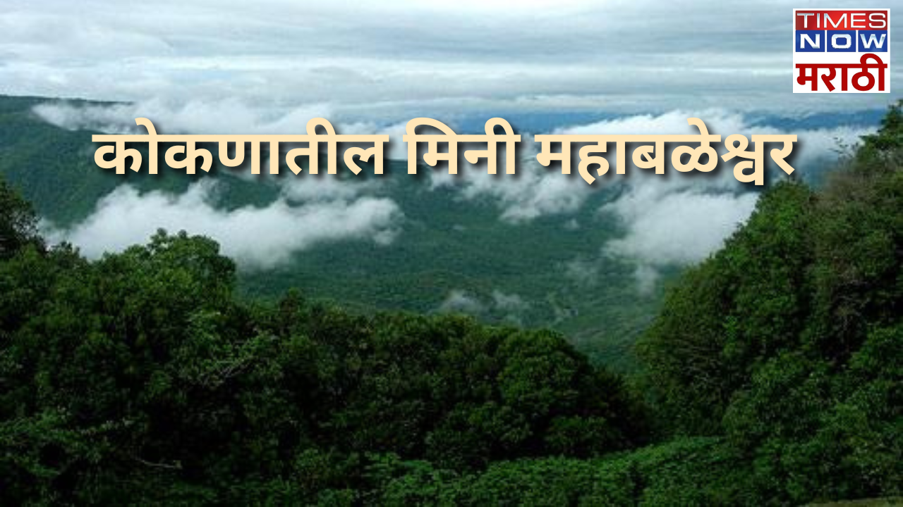 रत्नागिरीच्या कुशीत वसलेले माचाळ हे गाव पर्यटकांना त्याच्या नैसर्गिक सौंदर्याची भुरळ पाडण्यास यशस्वी ठरत आहे डोळे दिपवणारा निसर्ग खळाळणारे पाणी दाट धुके नागमोडी वाटा असलेल्या या गावाला मिनी महाबळेश्वर म्हणून ओळखले जाते त्यामुळे कोकणात कधी जाण्याचा योग आला तर या गावाला आवर्जून भेट द्या 