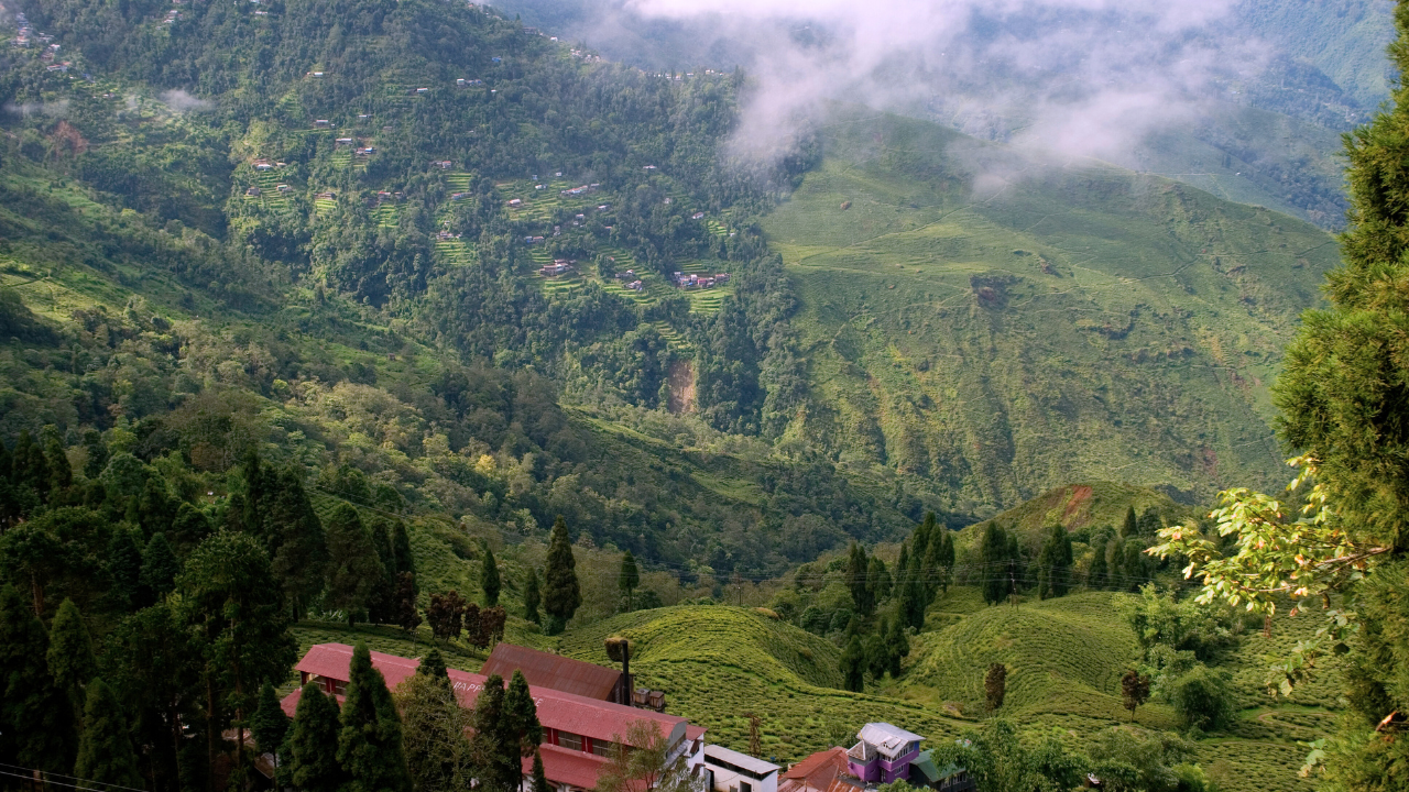 Darjeeling West Bengal