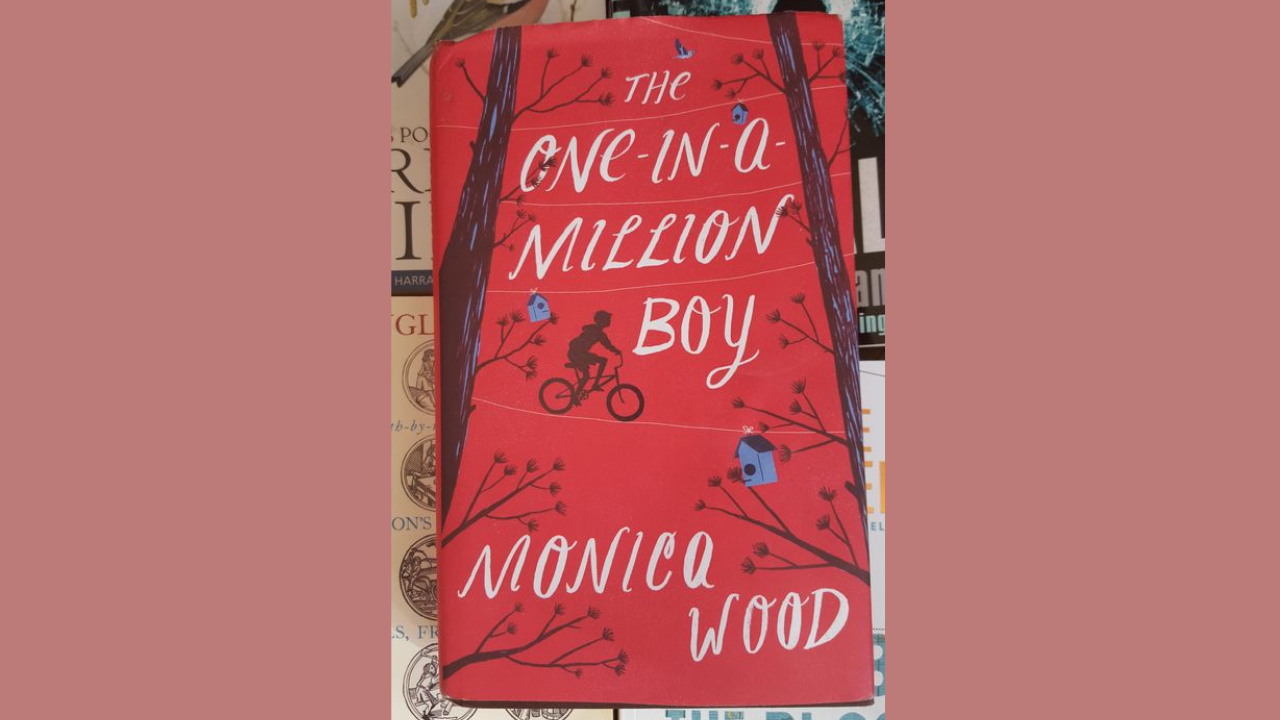 strongThe One-in-a-Million Boy by Monica Woodstrong