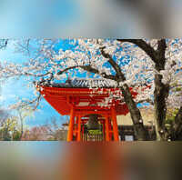 3 Reasons Why 2024 Is Becoming The Year Of Japan