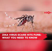 Zika virus scare hits Pune What you need to know