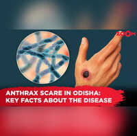 Anthrax outbreak in Odisha Key facts about the disease