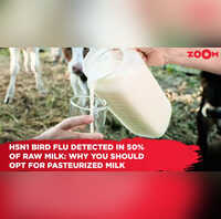 H5N1 bird flu detected in 50 of raw milk Why you should opt for pasteurized milk