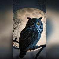 6Animals That Sleep With Open Eyes