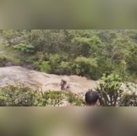 Pune Administration Issues Monsoon Guidelines For Tourists After Lonavala waterfall Mishap