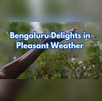 Calm Weather with Light Rain All Day Bengaluru Continues to Delight in Pleasant Conditions Check 7-Day Forecast