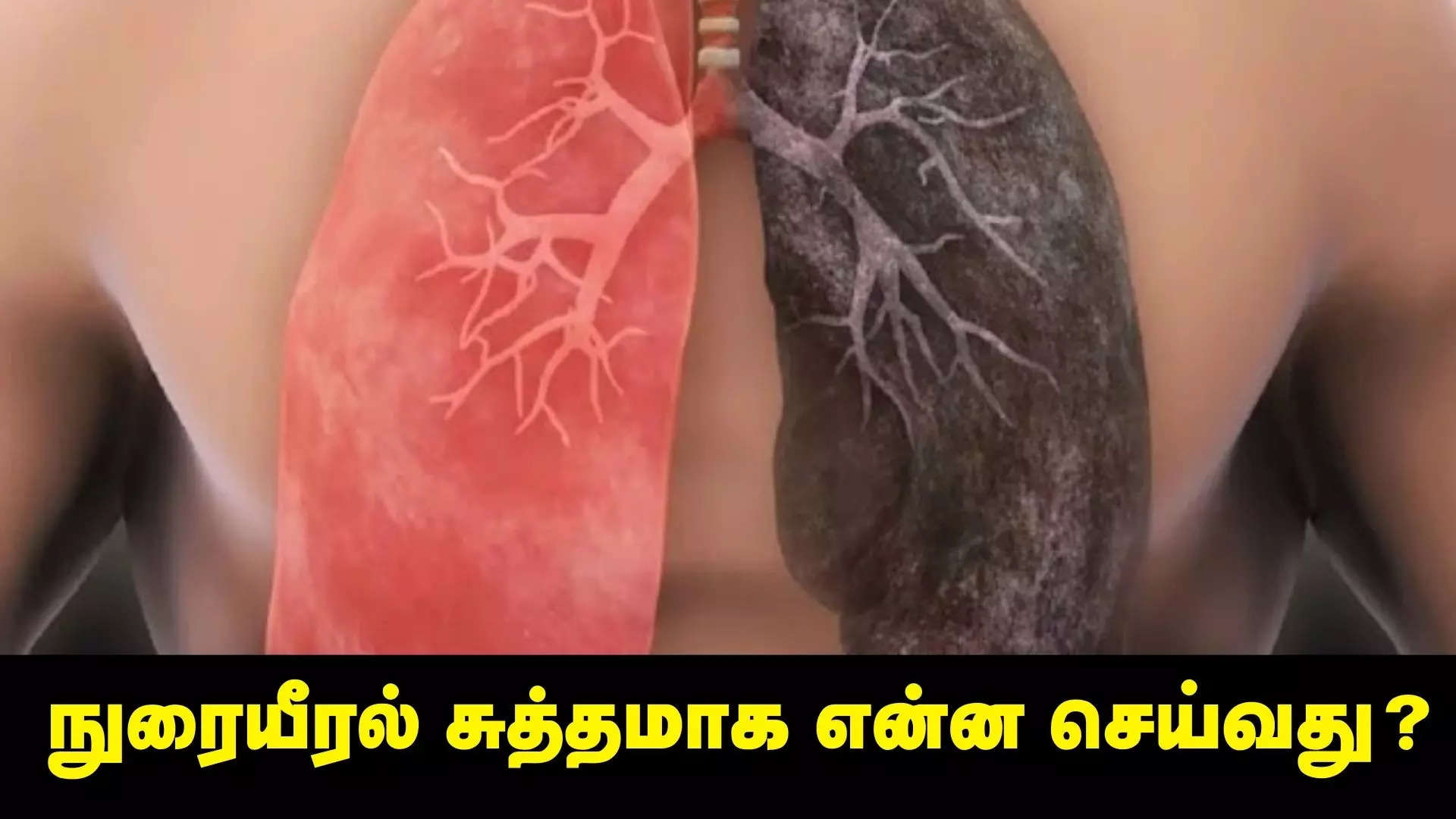 நுரையீரல் சுத்தம் செய்வது எப்படி 