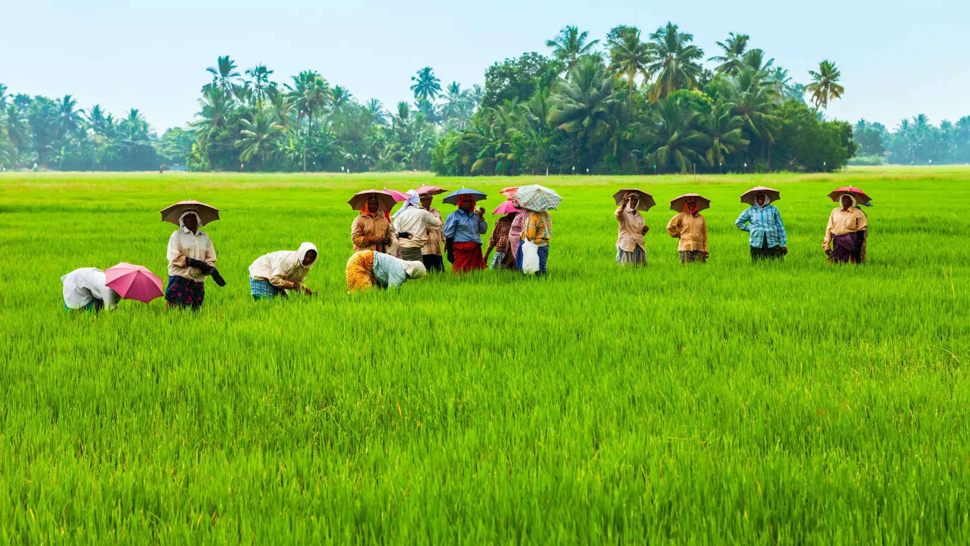 ತೆಲಂಗಾಣದ 4 ಜಿಲ್ಲೆಗಳಲ್ಲಿ ಸಮೀಕ್ಷೆ