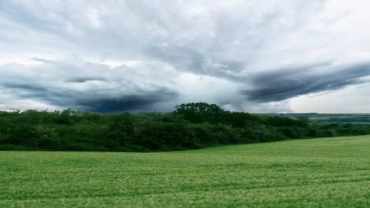 निसर्गाच्या सानिध्यात 