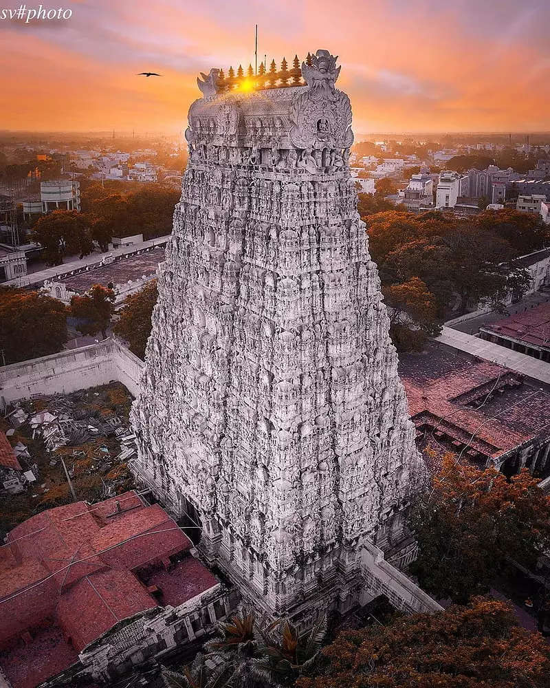 விரைவு தரிசன டோக்கன்