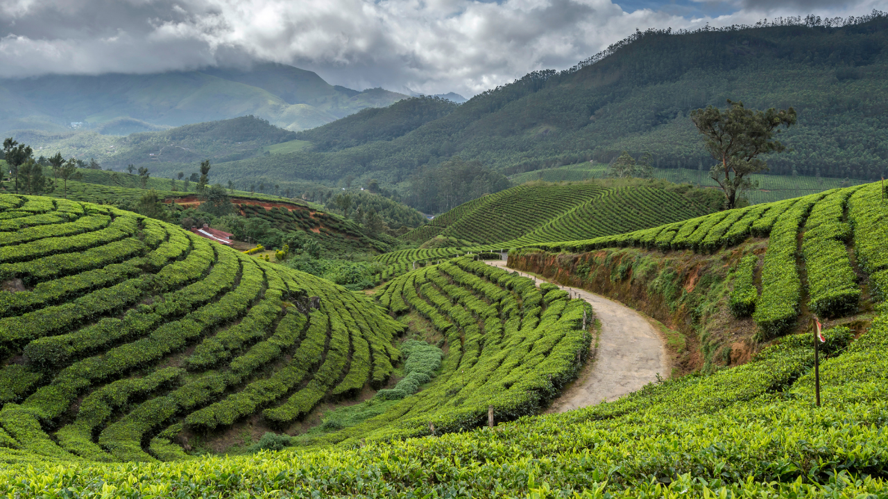 Darjeeling West Bengal