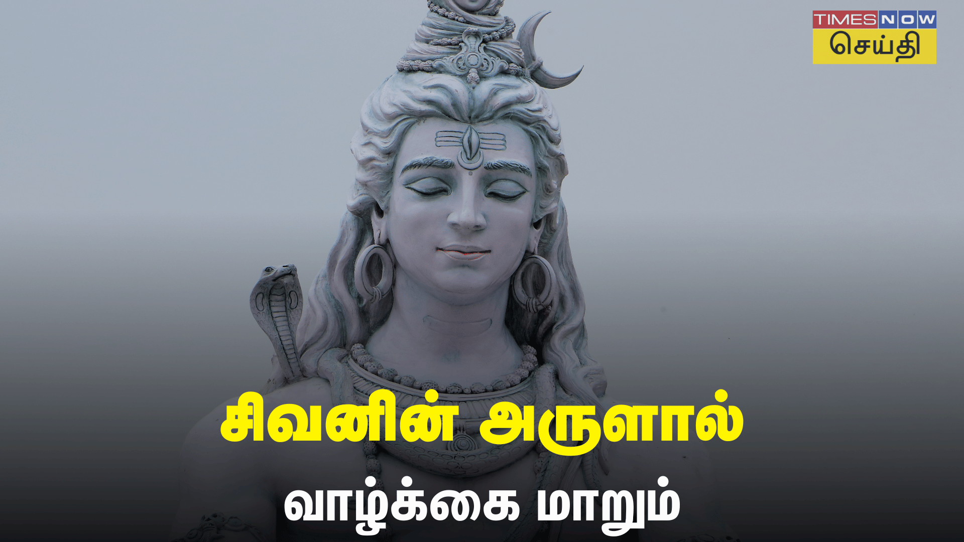 Dreams and Meanings இந்த 6 விஷயங்கள் கனவில் வந்தால் சிவபெருமானின் ஆசியால் உங்க வாழ்க்கையே மாறப் போகிறது! 