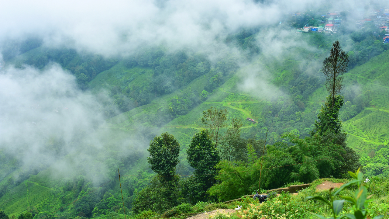 Darjeeling