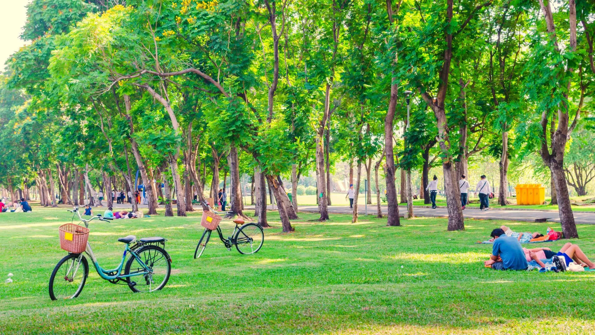 ಕಬ್ಬನ್ ಪಾರ್ಕ್ Cubbon Park