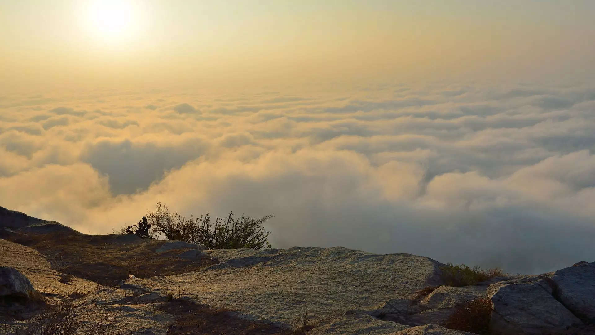 ನಂದಿ ಬೆಟ್ಟ Nandi Hill