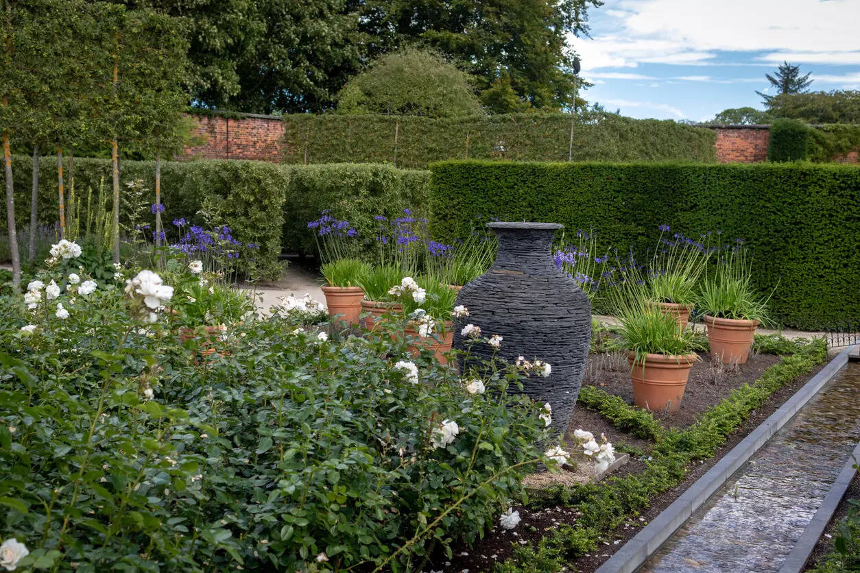 Poison Garden