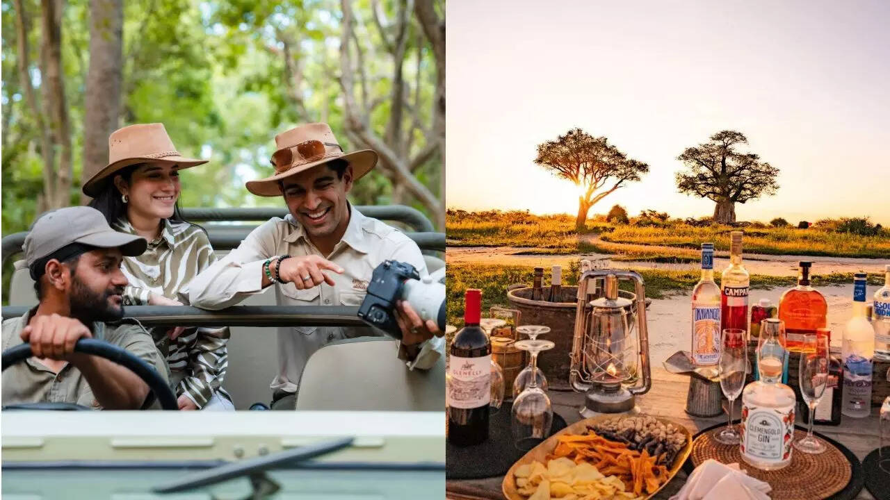 Amelia Safaris organises luxury wildlife experiences
