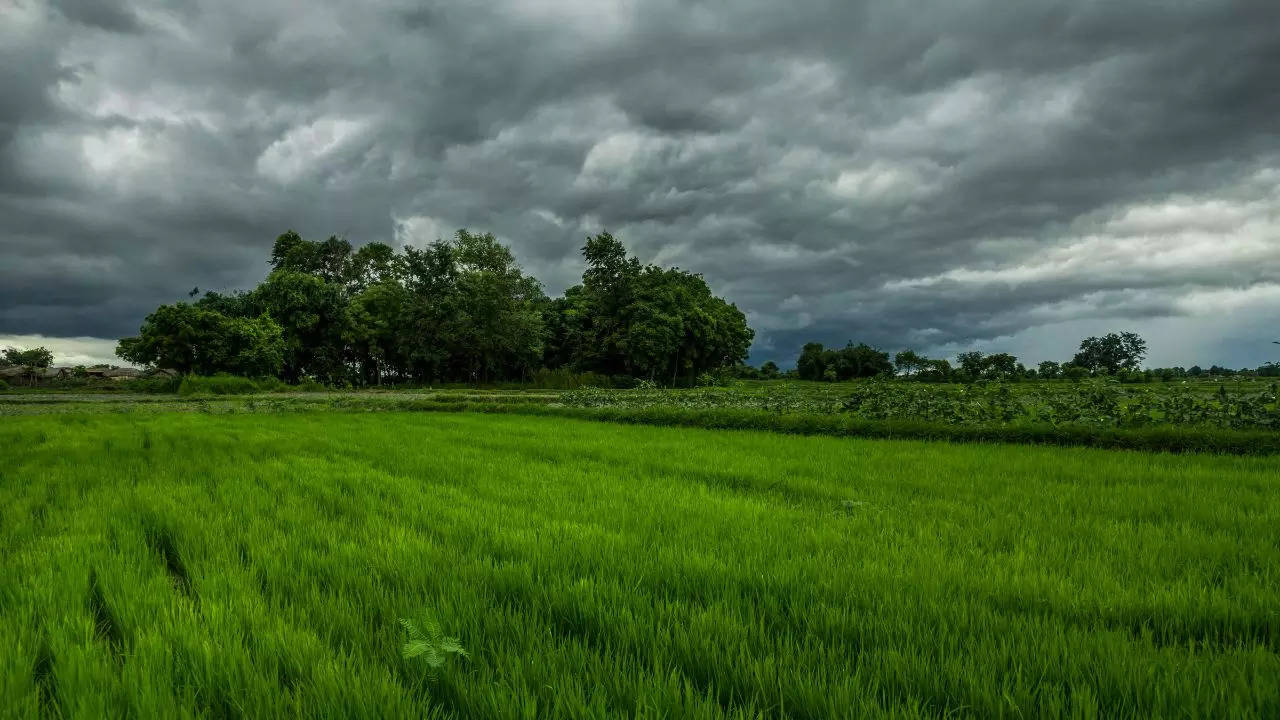 আর বর্ষার লুকোচুরি নেই! এবার টানা বৃষ্টিতে ভিজবে দক্ষিণবঙ্গের একাধিক জেলা