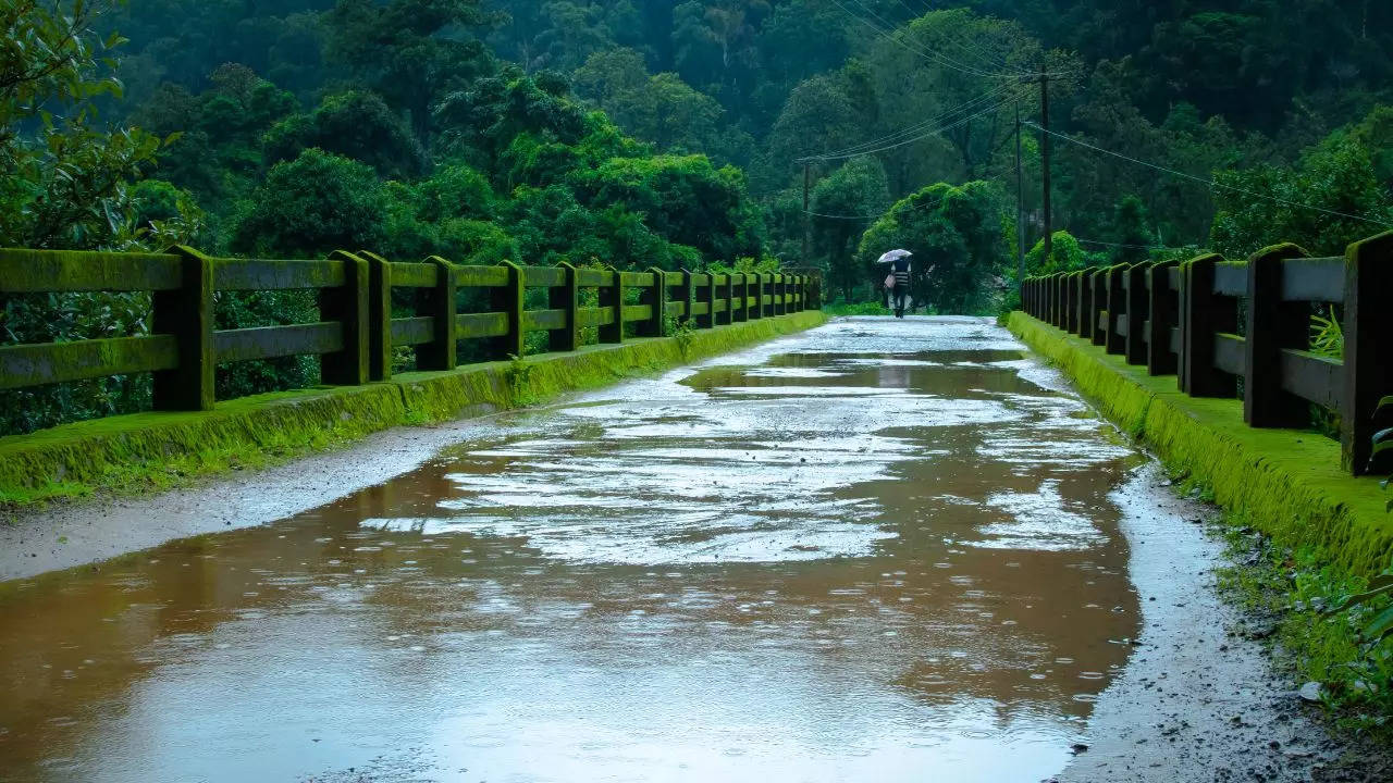 আর বর্ষার লুকোচুরি নেই! এবার টানা বৃষ্টিতে ভিজবে দক্ষিণবঙ্গের একাধিক জেলা