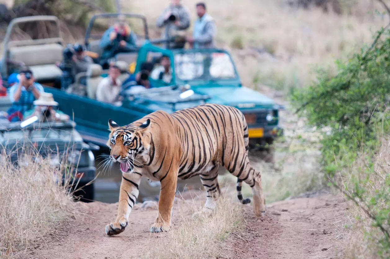 Sunderbans National Park