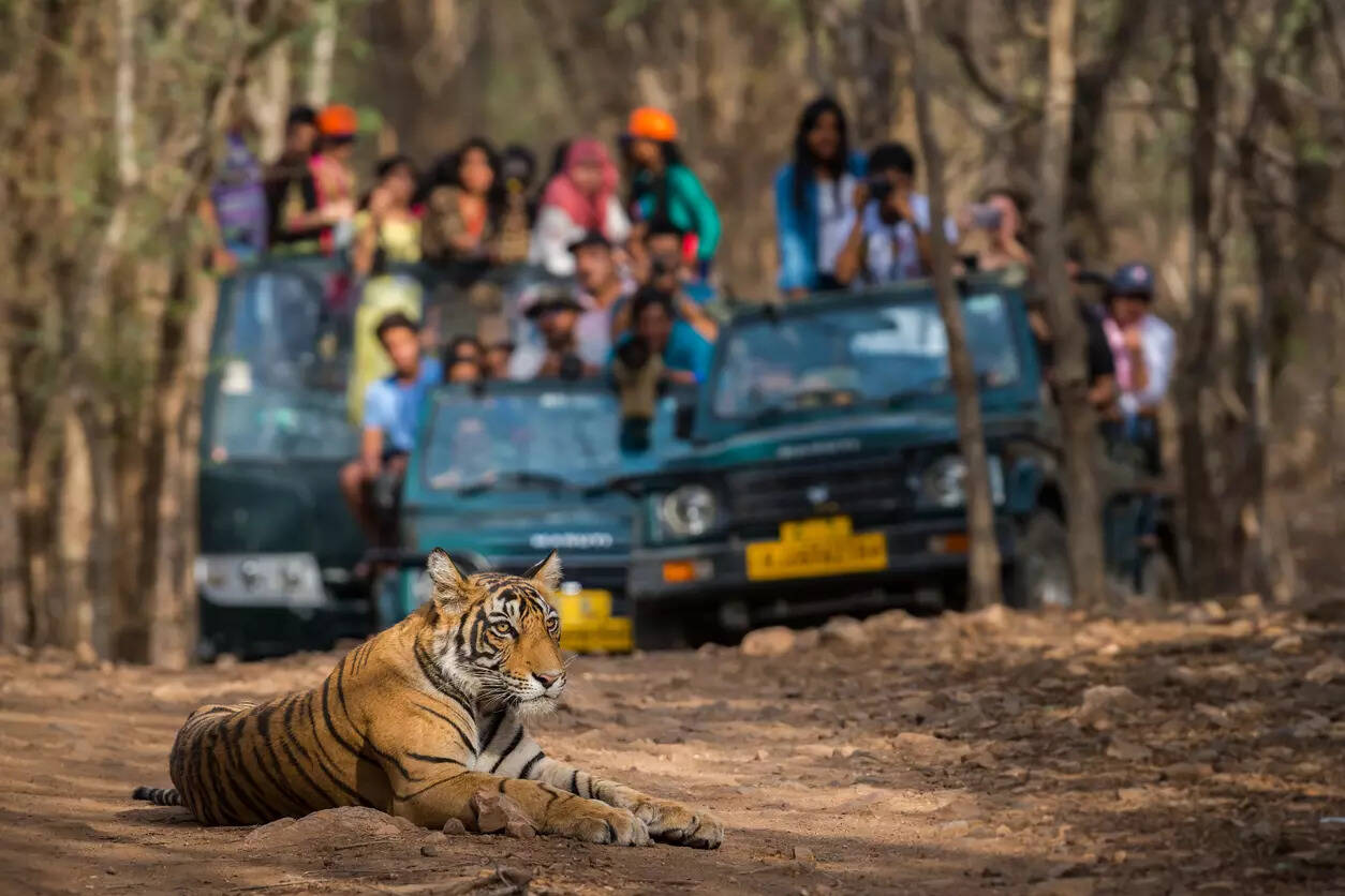 Tadoba National Park