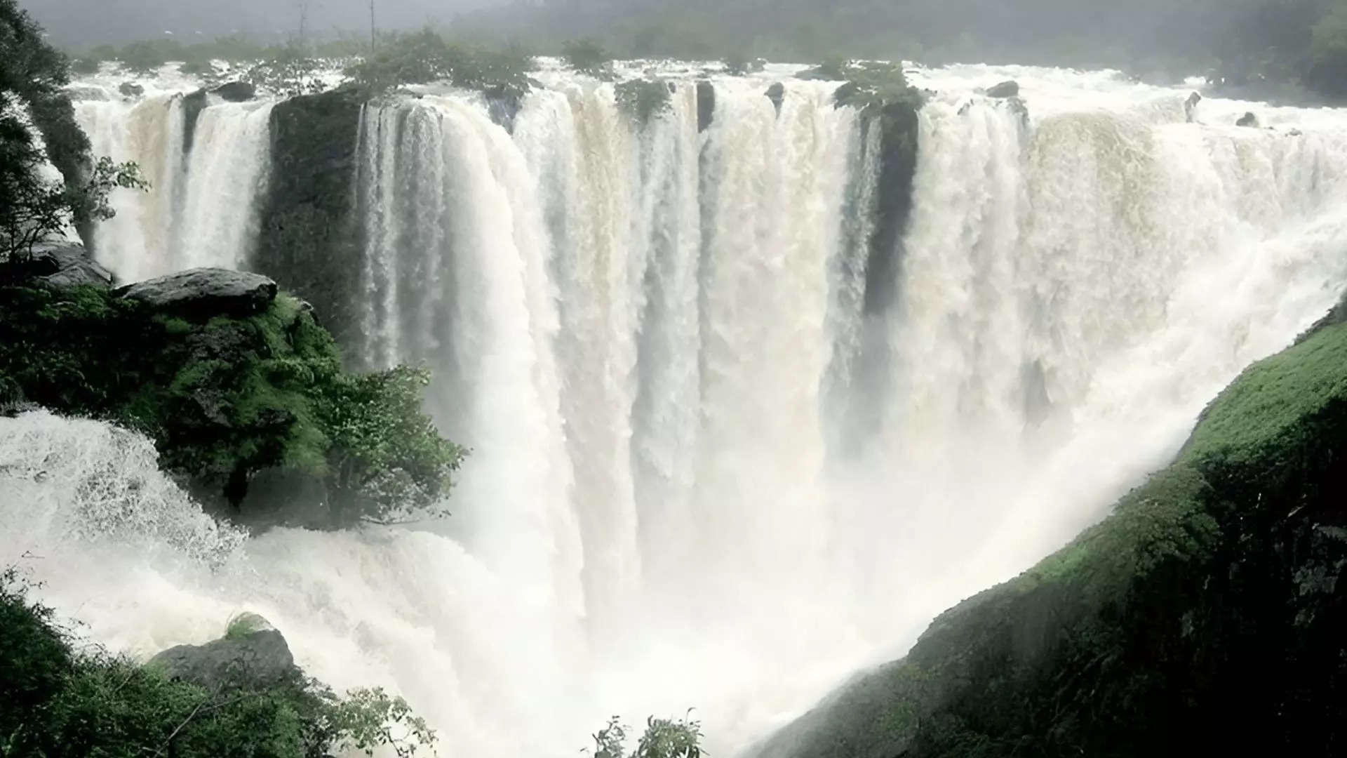 ಜೋಗ ಫಾಲ್ಸ್