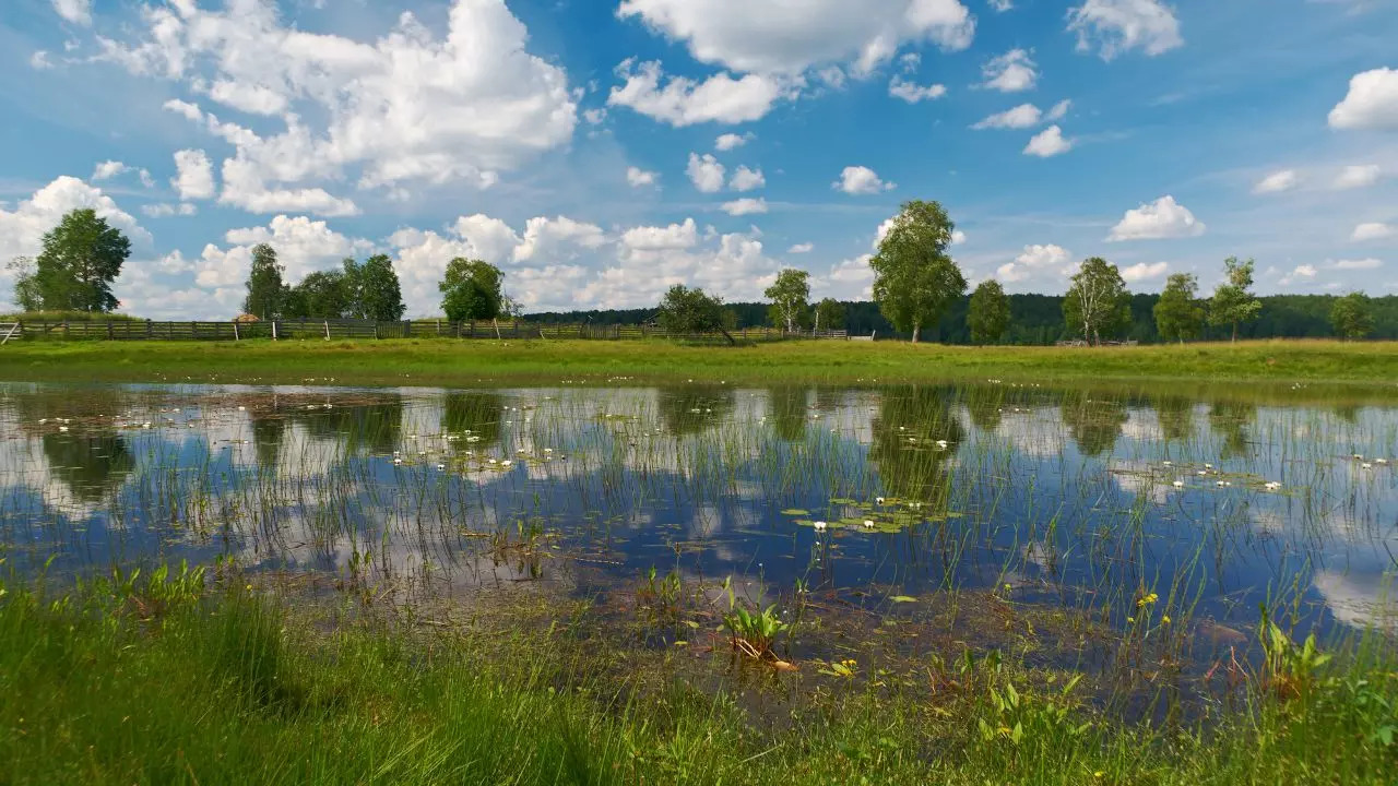 Cultural Landscape of Kenozero Lake Russia 