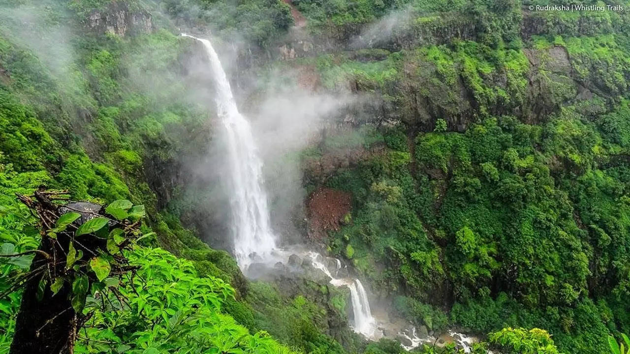 पर्यटकांची गर्दी 