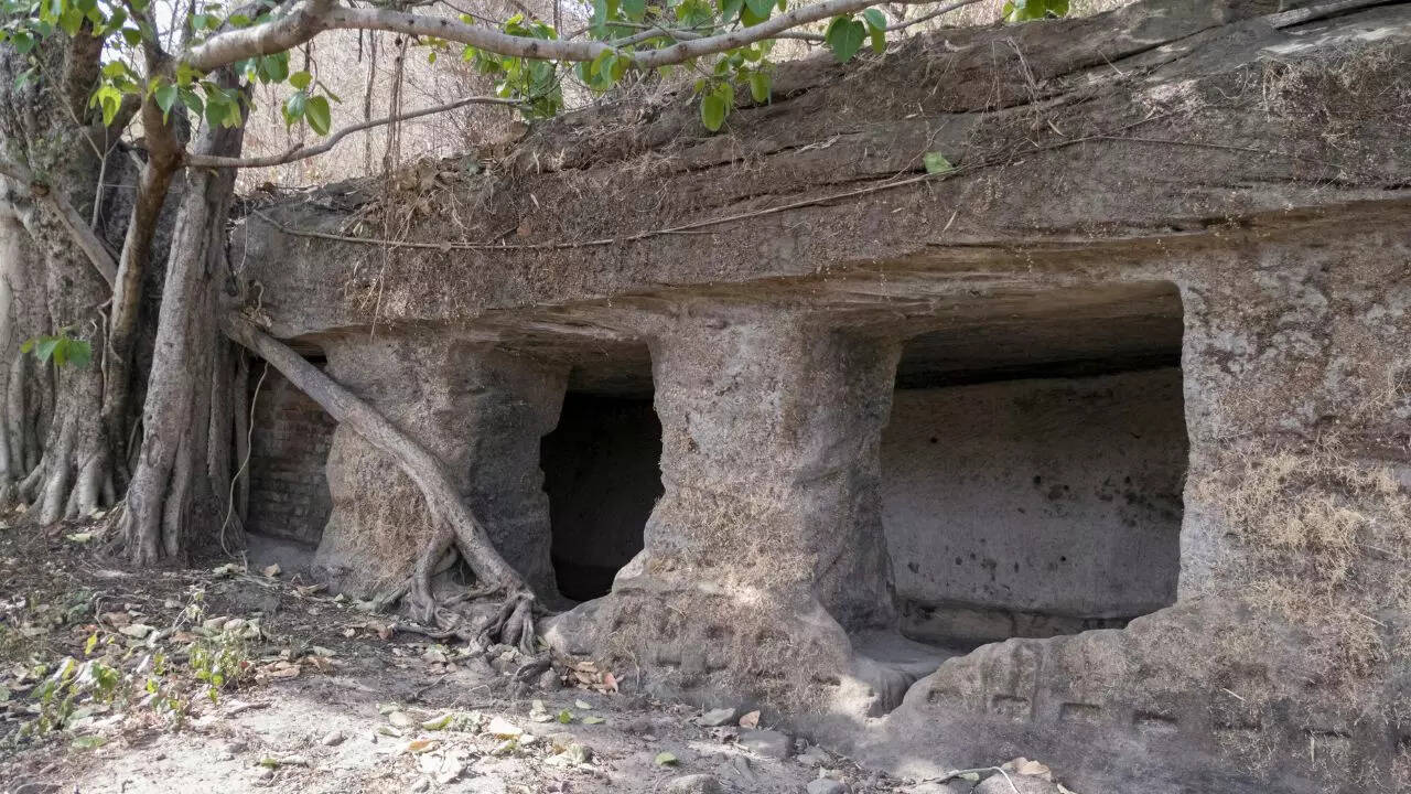 Bandhavgarh Credit Kanwa Caves