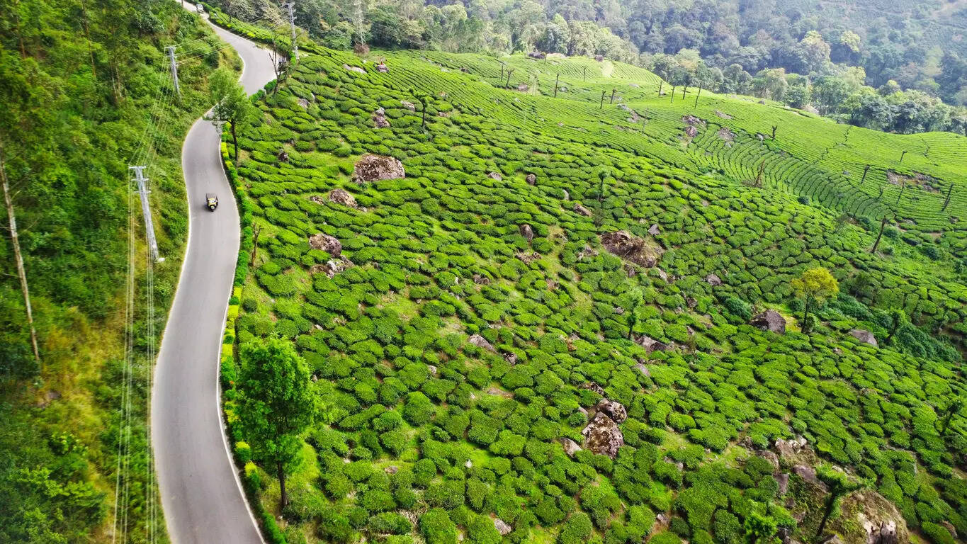 Munnar