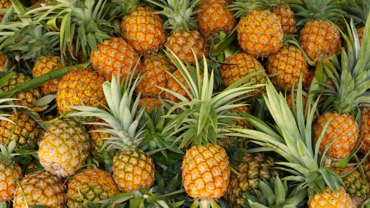 Pineapples