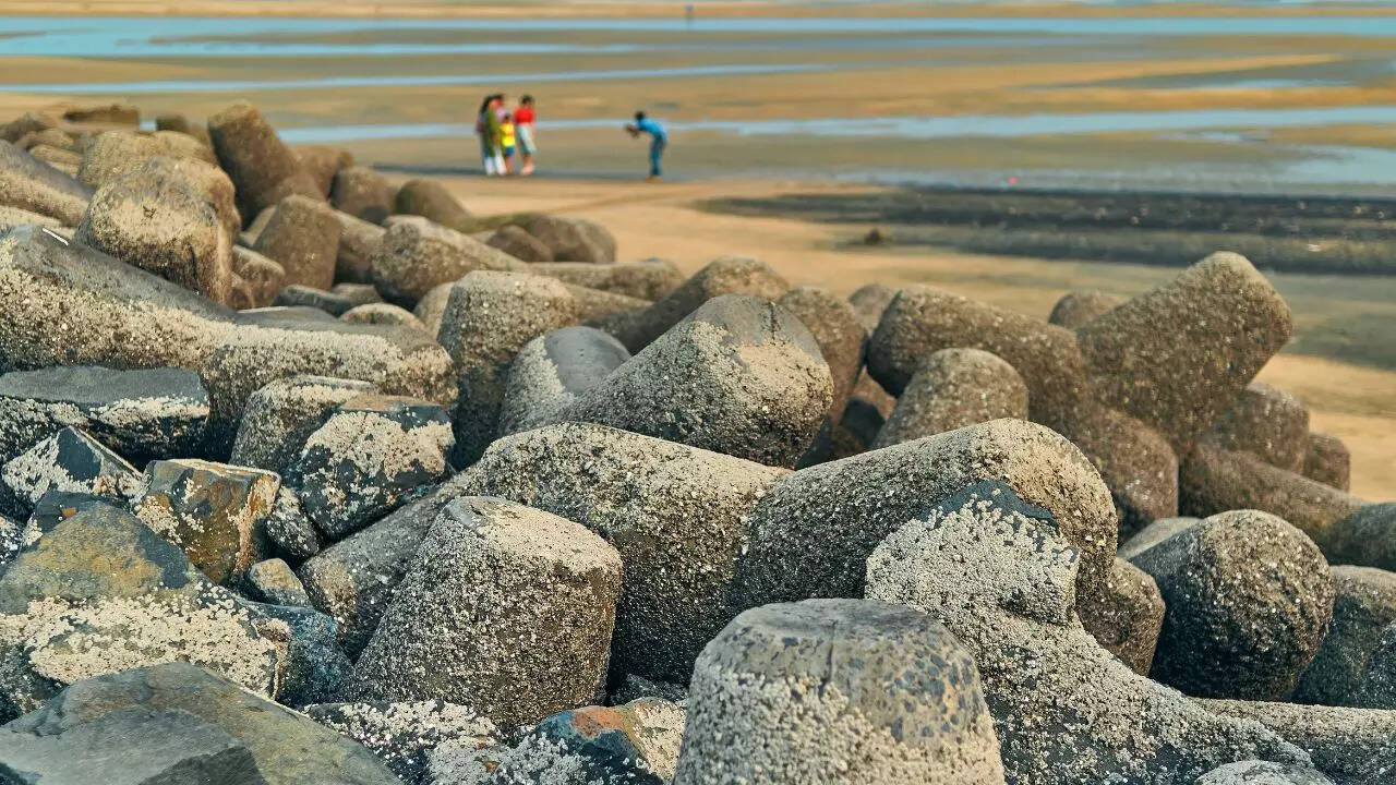 digha west bengal credit canva
