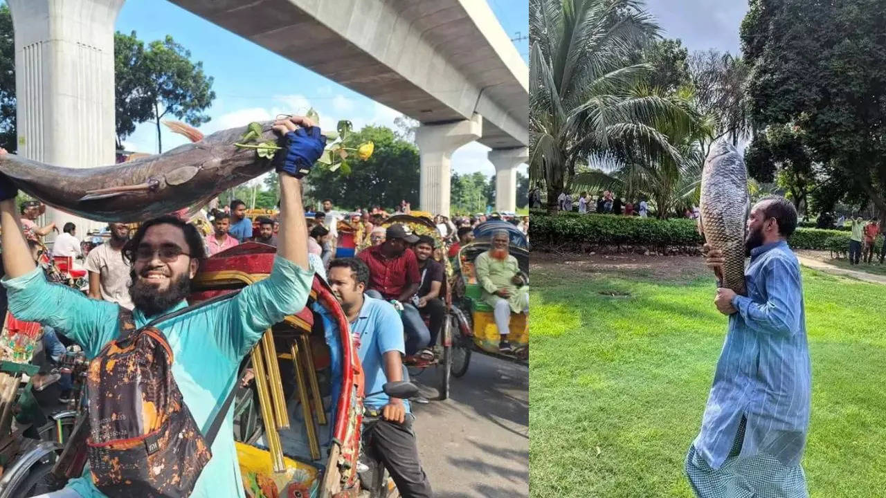 কারোর হাতে কাতলা মাছ কেউ নিয়ে যাচ্ছেন ছাগল কাপ টিভি! হাসিনা পালাতেই গণভবনে চলছে লুটপাট