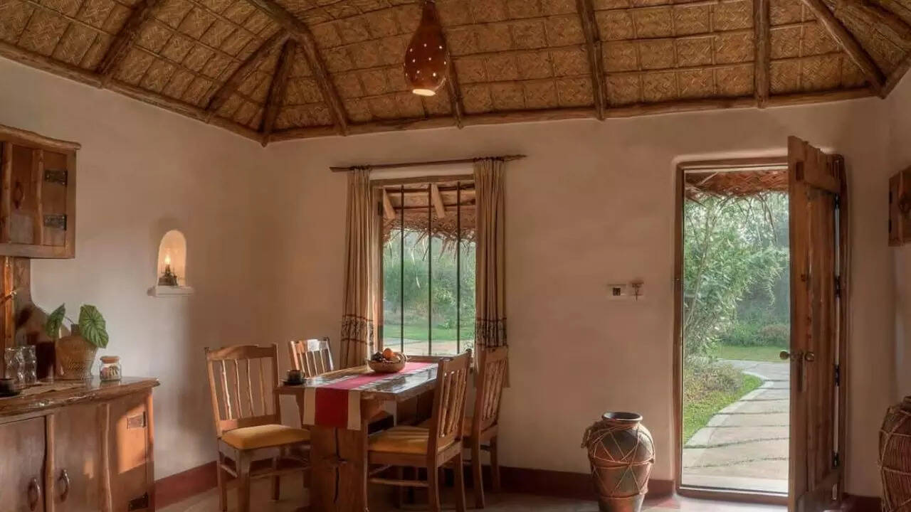 Grow back Kuruba Safari Lodge