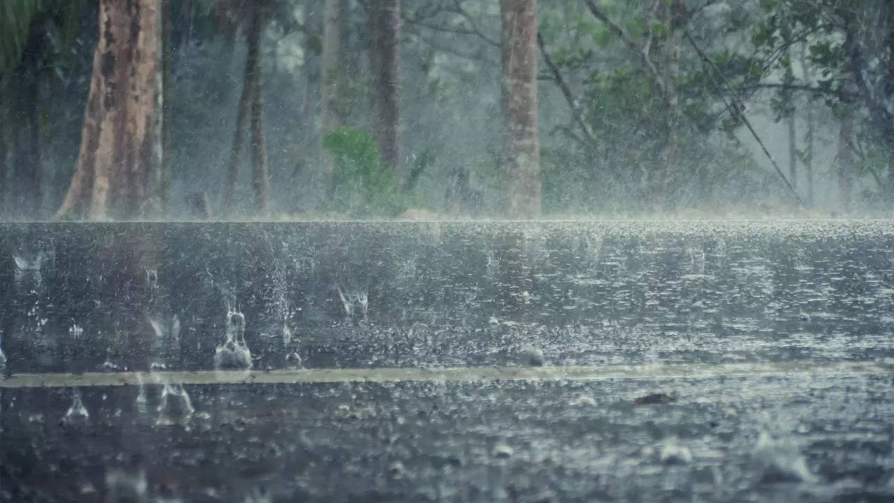 হাতে রাখুন ছাতা যে কোনও সময়ে আকাশ কালো করে! রইল আবহাওয়ার আপডেট