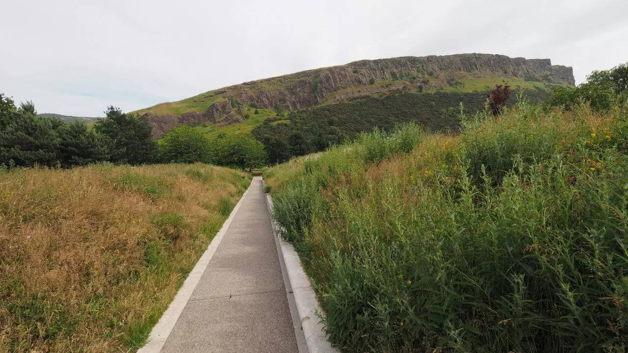 arthur39s seat credit canva