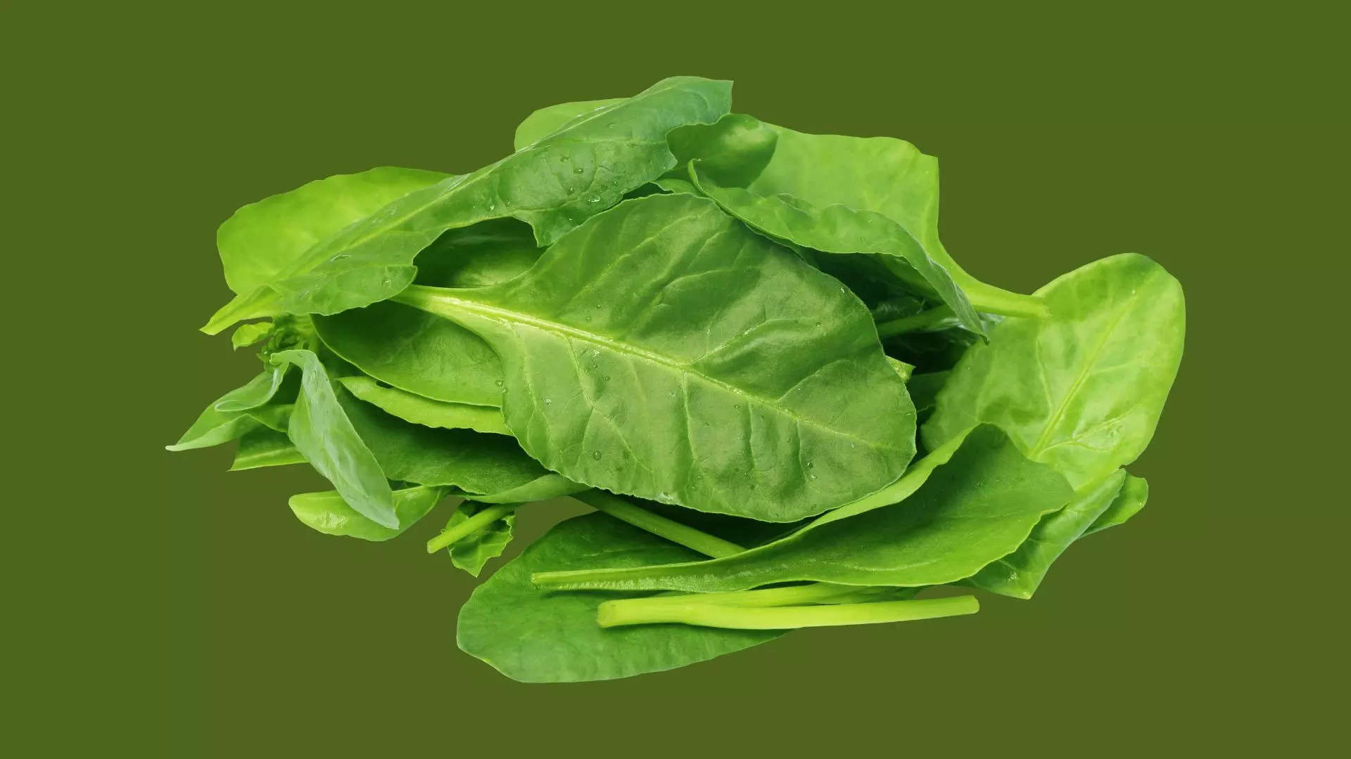 ಪಾಲಕ್ ಸೊಪ್ಪುSpinach