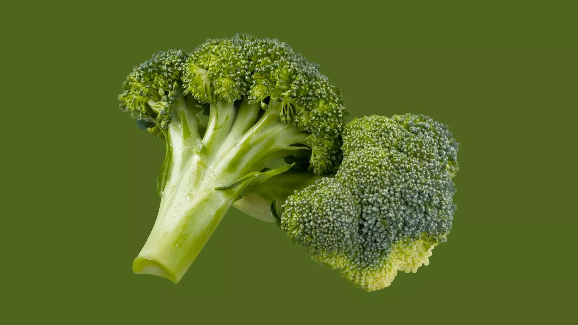 ಕೋಸುಗಡ್ಡೆ Broccoli