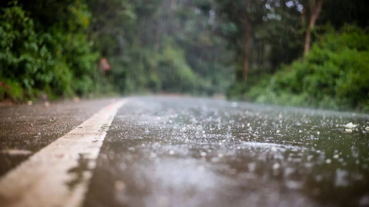 বর্ষাকালে ঘুরতে যাওয়ার প্ল্যান এই বিষয়গুলি কিন্তু মাথায় রাখুন না হলেই বিপদ