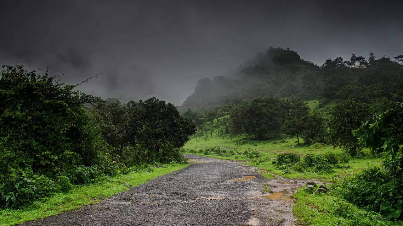 বর্ষাকালে ঘুরতে যাওয়ার প্ল্যান এই বিষয়গুলি কিন্তু মাথায় রাখুন না হলেই বিপদ