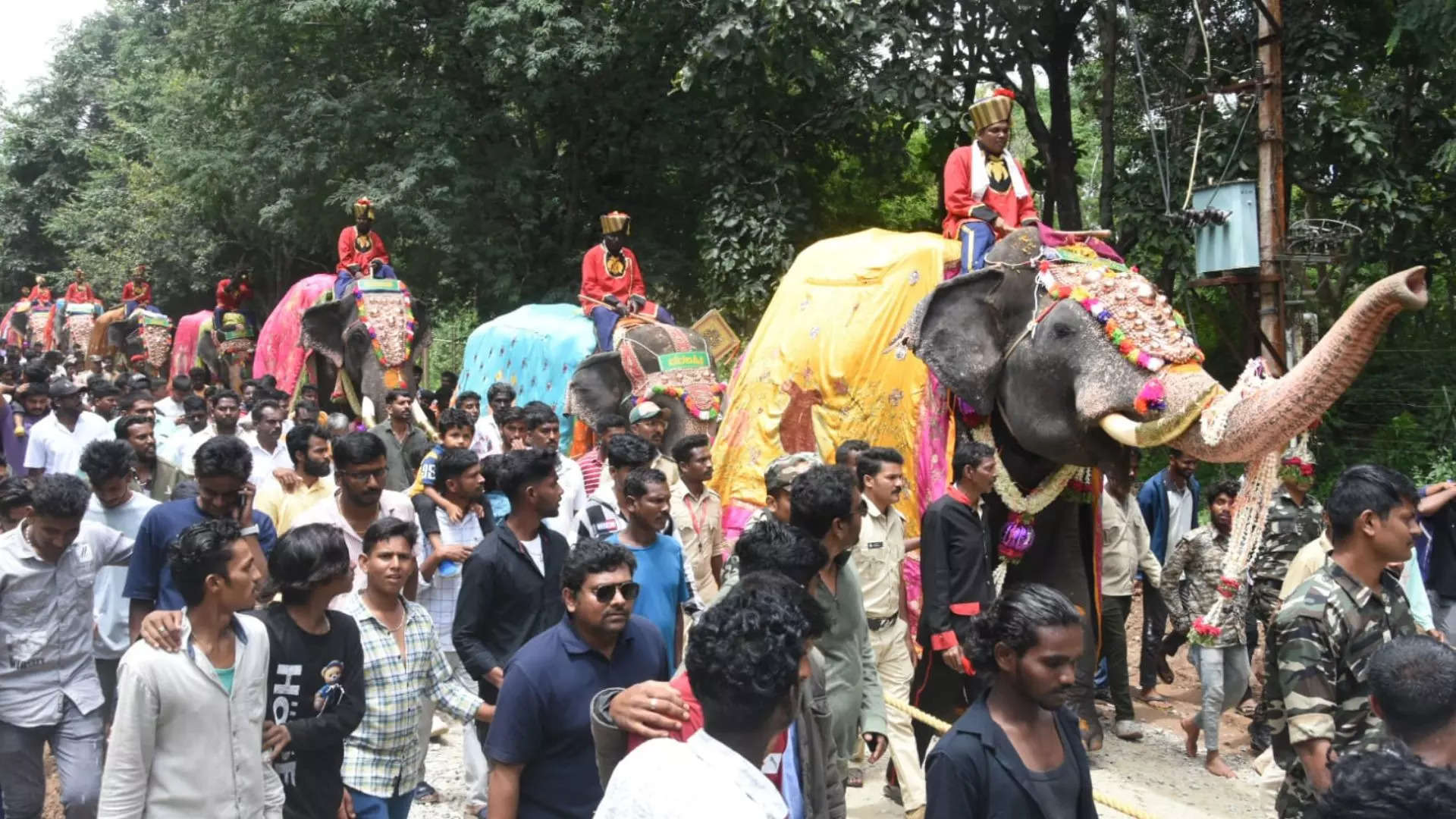 ಗಜಪಡೆಗೆ ಸ್ವಾಗತ