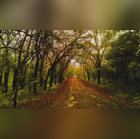 Pachmarhi Why The Queen of Satpura Should Be On Your MP Bucket List