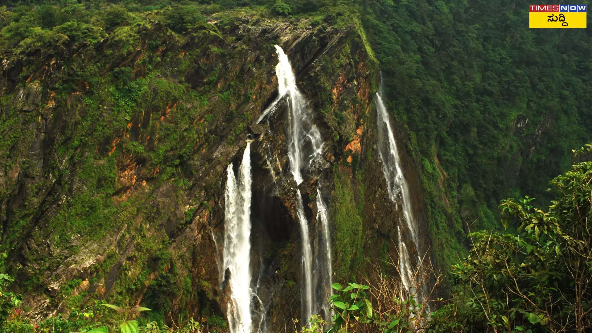 ಜಲಪಾತ ನೋಡಲು ಶುಲ್ಕದ ವಿವರ