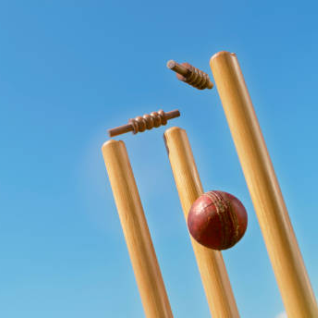 Fun Facts About Cricket