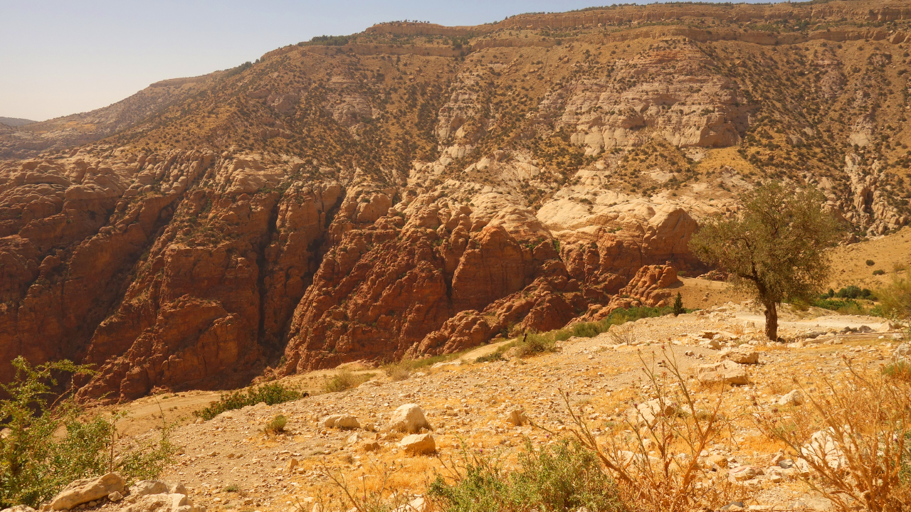 Dana Biosphere Reserve